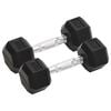 vidaXL Dumbbells 2 pcs 4 kg Total Cast Iron