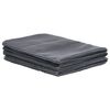 vidaXL Tent Carpet 300x500 cm Anthracite