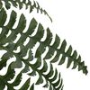 Product Thumbnail Image 5 of 6