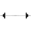 vidaXL Barbell with Plates 90 kg Cast Iron