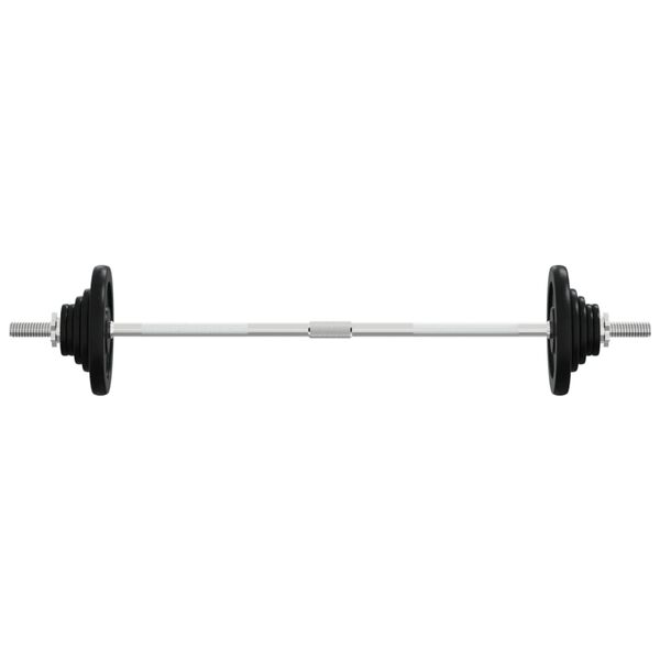 vidaXL Barbell with Plates 90 kg Cast Iron