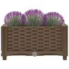 Product Thumbnail Image 6 of 8