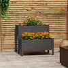 Product Thumbnail Image 2 of 7