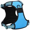 vidaXL Dog Harness with Reflective Stripes Adjustable Blue M