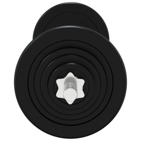 vidaXL Barbell with Plates 90 kg Cast Iron & Chrome Plated Steel