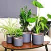 Product Thumbnail Image 2 of 7