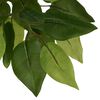 vidaXL Artificial Ficus Tree 1260 Leaves 200 cm Green