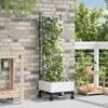 Product Thumbnail Image 2 of 7