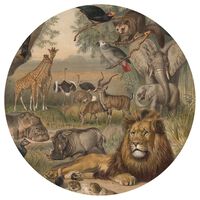 WallArt Wallpaper Circle Animals of Africa 142.5 cm