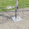 Product Thumbnail Image 4 of 14
