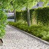 Product Thumbnail Image 2 of 10