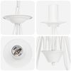 Product Thumbnail Image 6 of 7