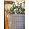Capi Egg Planter "Urban Smooth" 43x41 cm Dark Grey