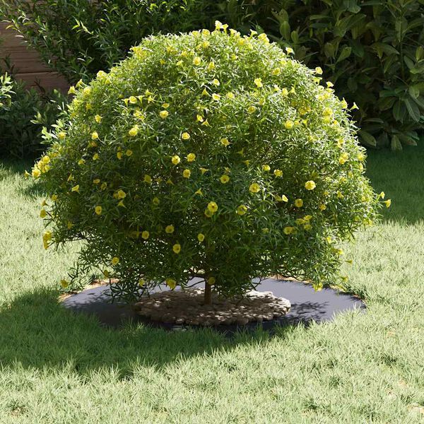 vidaXL suitable for Flat Tree Rings 5 pcs Anthracite &Oslash;30 / 60 cm Steel