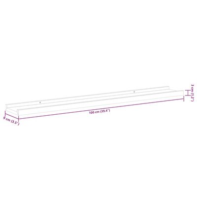 Diagram with 100 cm length and outlined shelf with dimensions