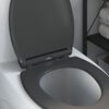 vidaXL Quick Release Toilet suitable for Seat Anthracite