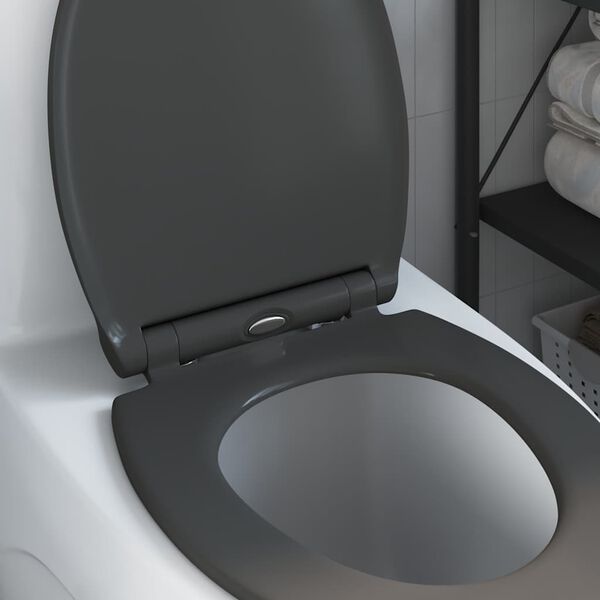 vidaXL Quick Release Toilet suitable for Seat Anthracite