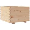 vidaXL Garden Planter 70x70x49.5 cm Solid Wood Pine