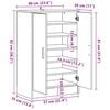 vidaXL Shoe Cabinet Artisan Oak 60x35x92 cm Engineered Wood