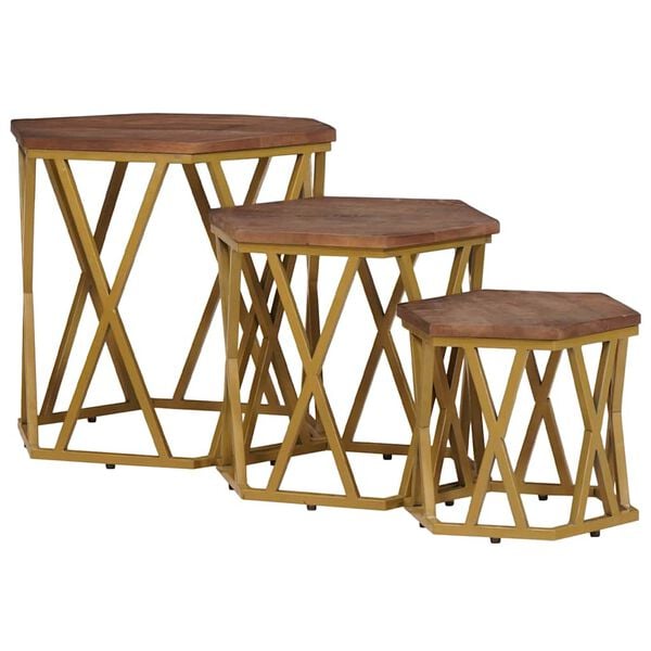 vidaXL Coffee Tables Brown 55 x 55 x 50 cm Solid Mango Wood