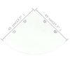 vidaXL Corner Shelves 2 pcs with Chrome Supports Glass Clear 45x45 cm