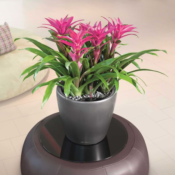 LECHUZA Planter CLASSICO LS 28 ALL-IN-ONE Charcoal Metallic 16043