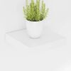 Product Thumbnail Image 4 of 15