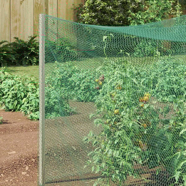 vidaXL Bird Protection Net Green 4 x 25 m Polyethylene