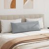 vidaXL Sofa Pillows 2 pcs Light Grey 120 x 40 cm Fabric