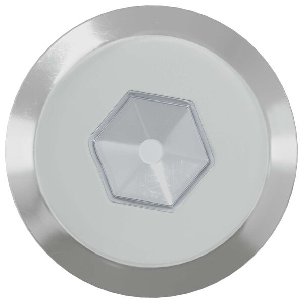 vidaXL Furniture Screws 2 pcs Silver M6 x 60 mm Steel