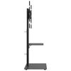 Product Thumbnail Image 4 of 12