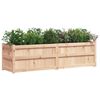 vidaXL Garden Planter 180x50x50 cm Solid Wood Pine