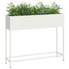 Product Thumbnail Image 3 of 12