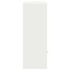 vidaXL Parcel Drop Box with Storage White 41 x 38 x 103 cm Steel