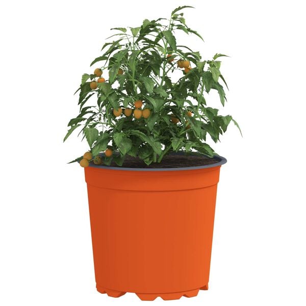 vidaXL Flower Pot 200 pcs Ceramic &Oslash; 15 x 13 cm Plastic