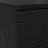 vidaXL Shoe Cabinet Black Oak 100.5 x 28 x 100 cm Engineered Wood