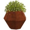 vidaXL Planter 2 pcs Rusty 50 x 50 x 40 cm Weathering Steel