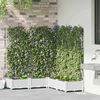 Product Thumbnail Image 3 of 8