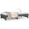vidaXL Pull-out Day Bed without Mattress Grey 2x(90x190) cm