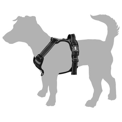 FLAMINGO Dog Harness Balou Black XS 30-45 cm 15mm