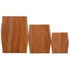 vidaXL Nesting Side Tables 3 pcs Solid Wood Mahogany