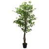 Product Thumbnail Image 2 of 5