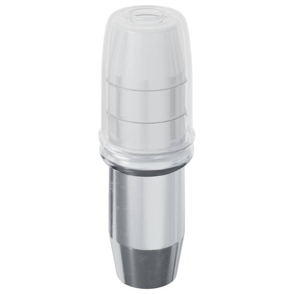 vidaXL Shelf Peg 12 pcs Silver 7 x 16 mm Iron