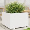 Product Thumbnail Image 2 of 10