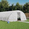 vidaXL Greenhouse with Steel Frame White 30 m&sup2; 6x5x2.3 m