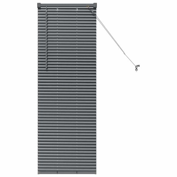 vidaXL Window Blind with Curtains Manual Dark grey Aluminium