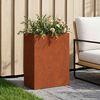 Product Thumbnail Image 2 of 10