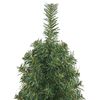 vidaXL Artificial Christmas Tree with 150 LEDs with Stand Green 150 cm