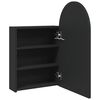 vidaXL Bathroom Mirror Cabinet with LED Light Arched Black 42x13x70 cm