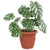 Product Thumbnail Image 3 of 9